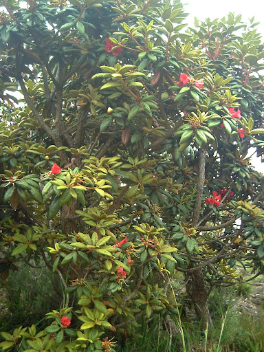 PICT0907.JPG