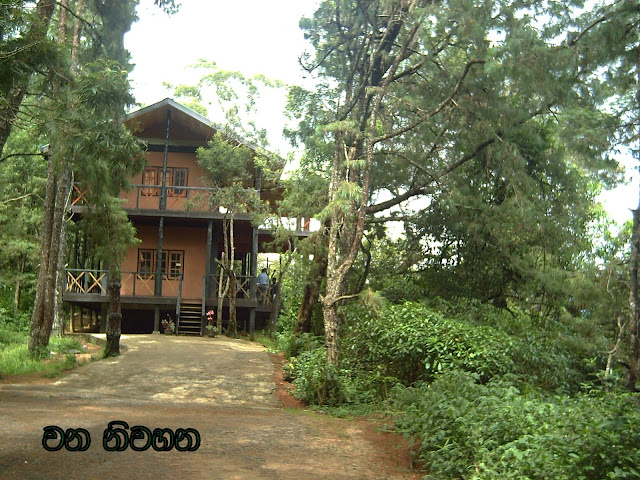 PICT0502.JPG