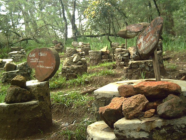 PICT0493.JPG