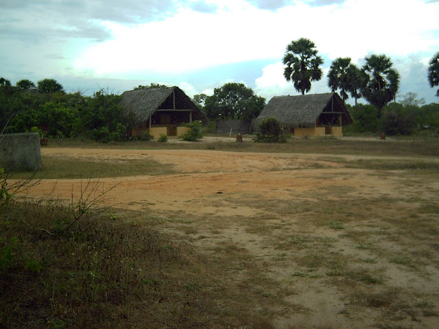PICT0380.JPG