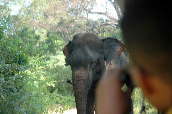 DSC_0339.JPG