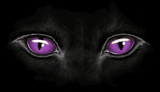 color.gif