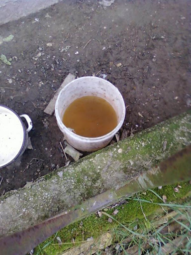 Fot%C3%B30464.jpg