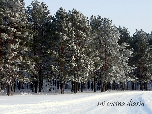 El bosque nevado de Rusia (Русский снежный лес)