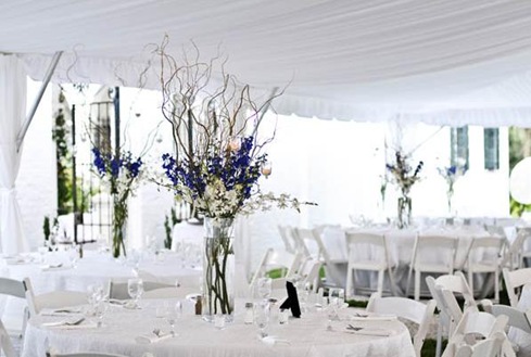 white tent wedding