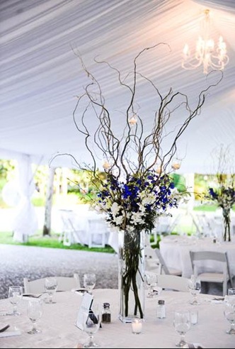 sapphire blue and white weddings