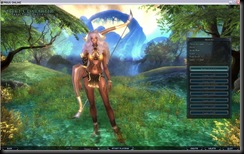 Prius Online / Anima Online - character creation screen.