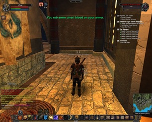 Vanguard: Saga of Heroes, Isle of Dawn Quest: Beyond the Glass (Adventuring) 