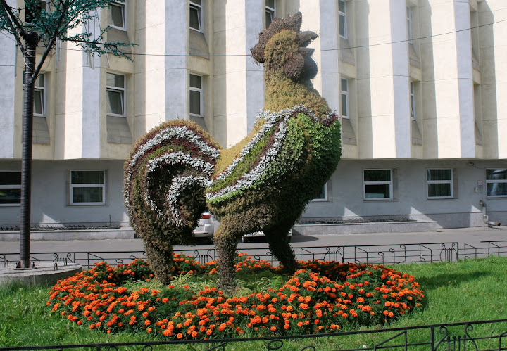 811. Клумбный Красноярск - 2010 