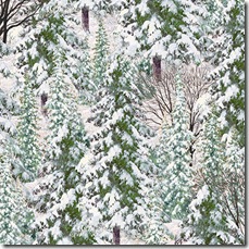 Winter's Gleam - Snowy Trees Lt. Ice #19-172