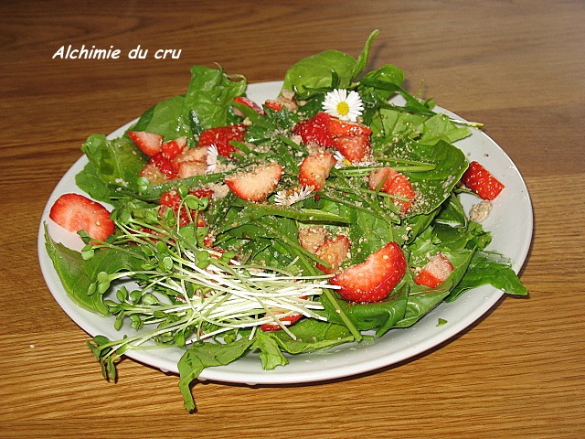 [salade merveille de fraise et herbes sauvages 640x480[6].jpg]