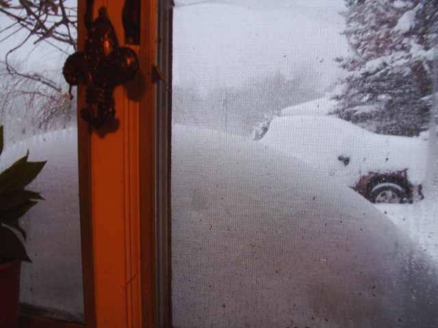 [more snow 2010 004[4].jpg]