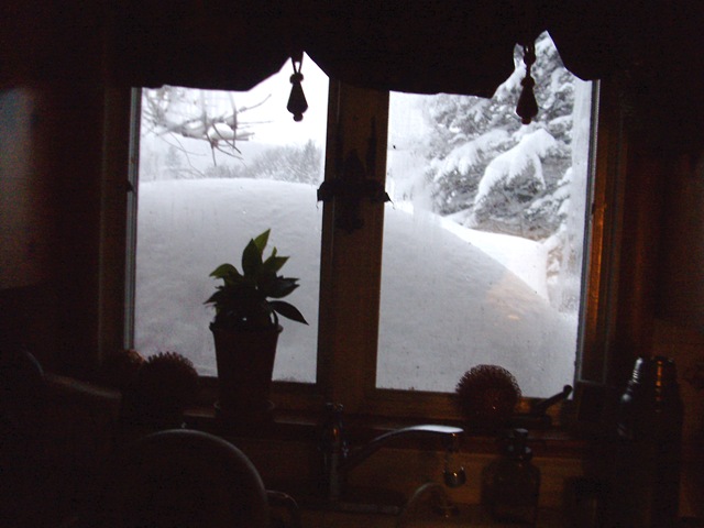 [more big snow 2010 007[4].jpg]