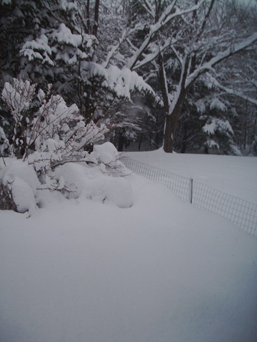 [more big snow 2010 017[3].jpg]