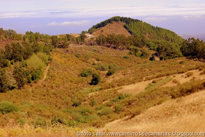 1328 C.Tejeda-Valsendero(Montaña Pajarito) 1328 C.Tejeda-Valsendero(Montaña Pajarito)