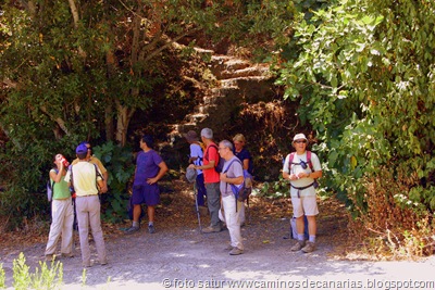 1346 C.Tejeda-Valsendero 1346 C.Tejeda-Valsendero