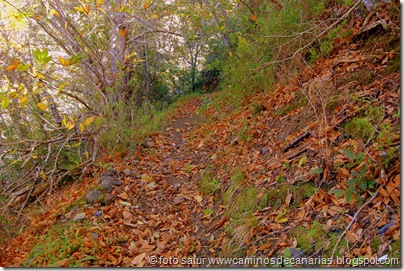 1747 Valleseco-Valsendero 1747 Valleseco-Valsendero