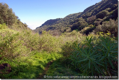 2334 Barranco Cernícalos 2334 Barranco Cernícalos