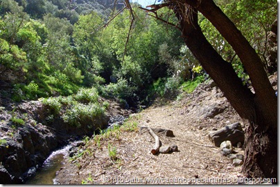 2338 Barranco Cernícalos 2338 Barranco Cernícalos