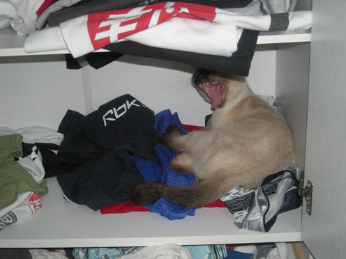 http://lh6.ggpht.com/_Af2NJS5Y8NA/S1I67288lUI/AAAAAAAABuM/DqHCmuzQYFM/DSCN1826.jpg
