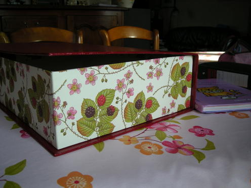 http://lh6.ggpht.com/_Af2NJS5Y8NA/S1IDySLum8I/AAAAAAAAAdk/47dsd_TAVBM/DSCN0813.jpg