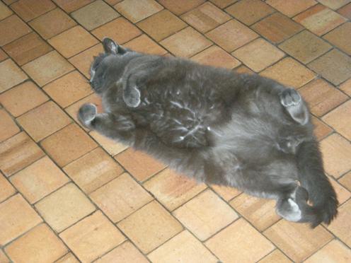 http://lh6.ggpht.com/_Af2NJS5Y8NA/S5QBLrr_0WI/AAAAAAAADk4/9F0MLv1g94M/dscn0572_1_.jpg