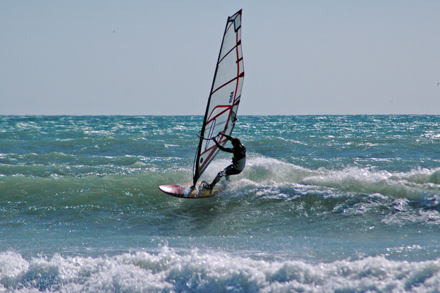 DSC_6879.jpg