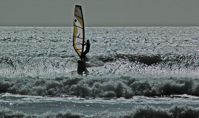 DSC_6917.jpg