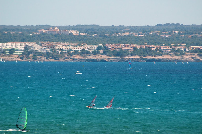 DSC_8079.JPG