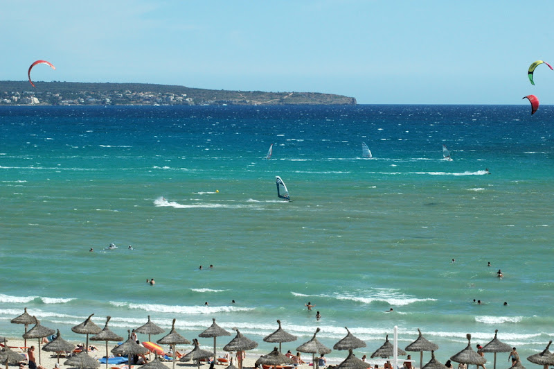 DSC_8221.JPG
