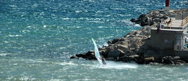 DSC_8229.JPG