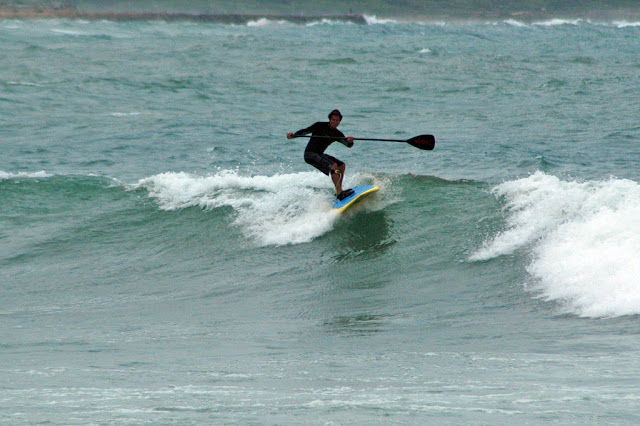 DSC_8921.JPG