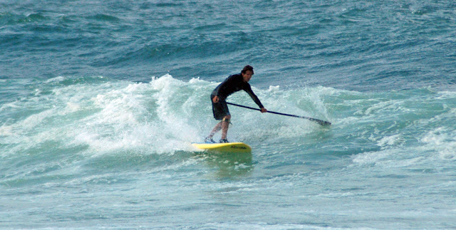 DSC_8986.JPG