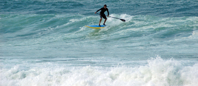DSC_8983.JPG