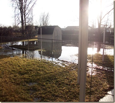 flooded  back yard 015