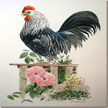 Rooster-Poppy-A-18