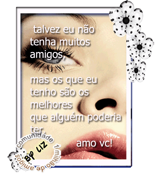 amizade-liz1.png
