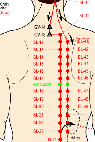Android application Acupuncture Back Shu Points screenshort