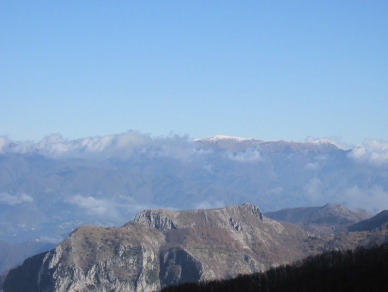 IMG_8035.JPG