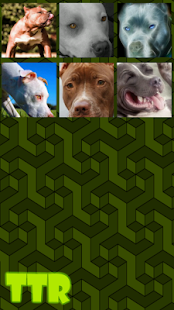 How to mod Pitbull Sliding Puzzle 0.2 unlimited apk for android