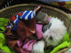 IMG_2320 IMG_2320