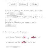 Conocimiento del Medio. Las Plantas