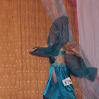 DPP_0050_517x600_517x600.JPG