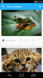 How to mod Cute Animals 1.0.5 mod apk for android