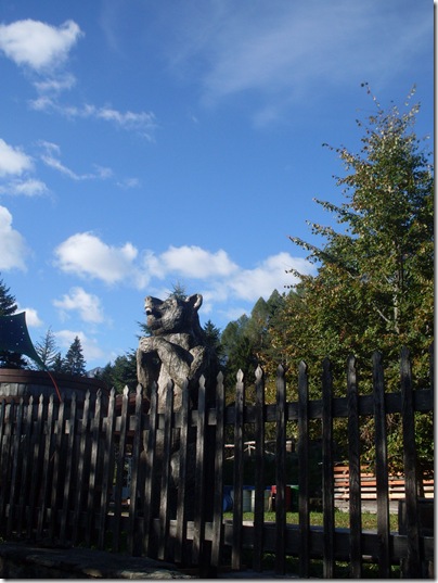 L'orso di legno del bosco di Museis