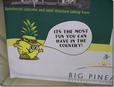 12-04-2009 008 Bathurst - The Big Pineapple