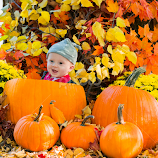 The Great Pumpkin by Michael Wolfe -  