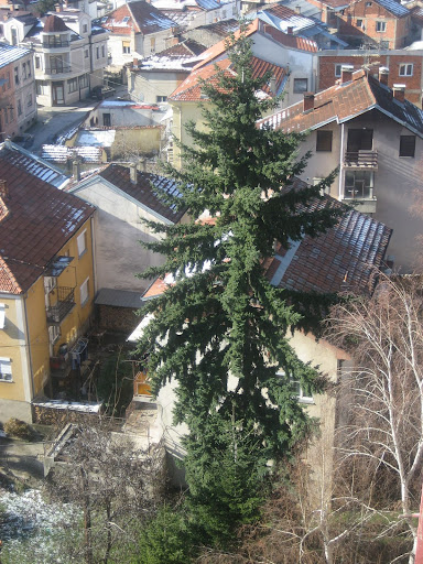 IMG_3222.jpg