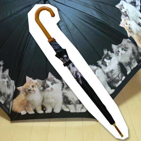 [parasol_w_koty[6].jpg]