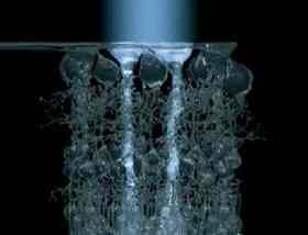 Müller cells refocus the red and blue light, delivering them directly to the same cone cell (Image: Jens Grosche)